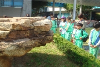 [학교연계 프로그램]10월 10일 효정초등학교 3학...