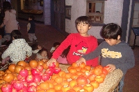 학교연계 프로그램]11월 15일 정자초등학교 3학...